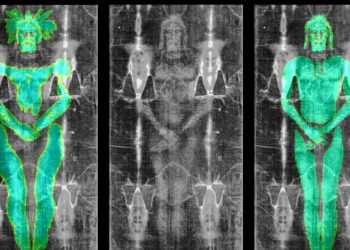 Resumen de investigación: 6 historias de ciencias geniales que casi extrañamos