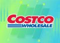 Las mejores ofertas del Día del Trabajo de Costco 2025: más de 15 ventas de hasta $ 1,700 de descuento
