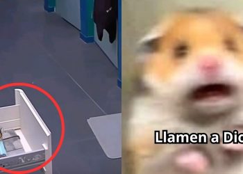 Capitán suceso paranormal en lcdlf e Internet Jura que el fantasma dio más contenido que varios participantes