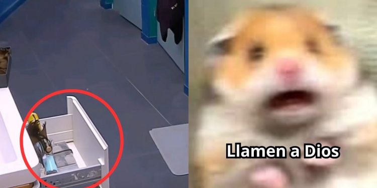 Capitán suceso paranormal en lcdlf e Internet Jura que el fantasma dio más contenido que varios participantes