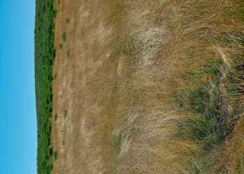 N.Hoolywood Primavera 2026 Colección de ropa masculina