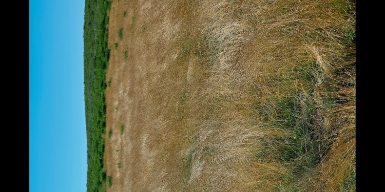 N.Hoolywood Primavera 2026 Colección de ropa masculina