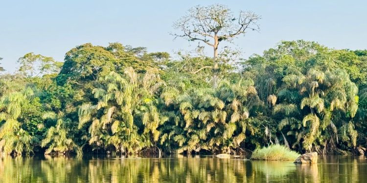 Estos son los lugares de viaje para escapar de las multitudes en 2026