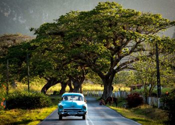 ¿Por qué hacemos amigos tan rápidos de vacaciones?