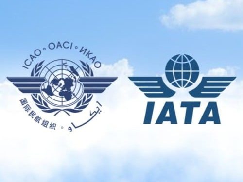 Icao dice que no castigue a las aerolíneas: el 96% de todos los pasajeros están satisfechos