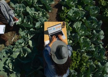 Según los informes, Apple se está acercando a la producción de sus últimos MacBooks con motor M5