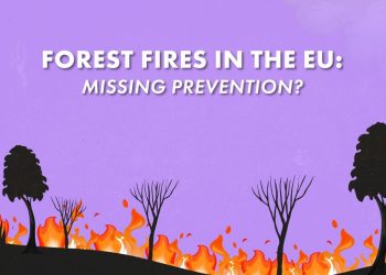 ¿La UE no está evitando los incendios forestales?