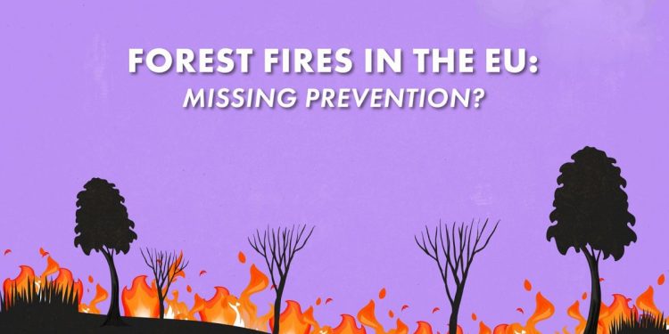 ¿La UE no está evitando los incendios forestales?