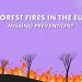 ¿La UE no está evitando los incendios forestales?