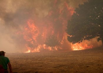 El cambio climático alimentó incendios forestales de 'intensidad sin precedentes' en España y Portugal, según los expertos