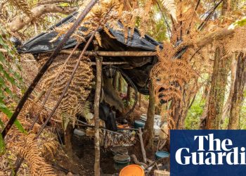 Descubrimiento de los nuevos espectáculos de campamentos, el fugitivo Tom Phillips tenía 'ayuda exterior', dice la policía de Nueva Zelanda | Nueva Zelanda