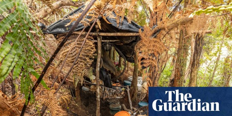 Descubrimiento de los nuevos espectáculos de campamentos, el fugitivo Tom Phillips tenía 'ayuda exterior', dice la policía de Nueva Zelanda | Nueva Zelanda