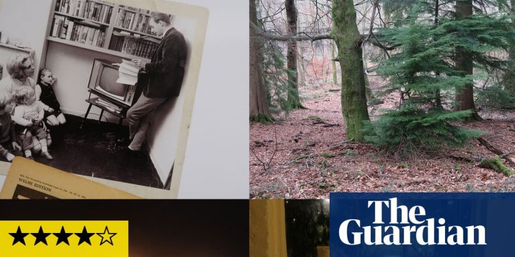 Hilary Lloyd Review: en el sendero de Dennis Potter a través de un bosque encantado de cine | Instalación