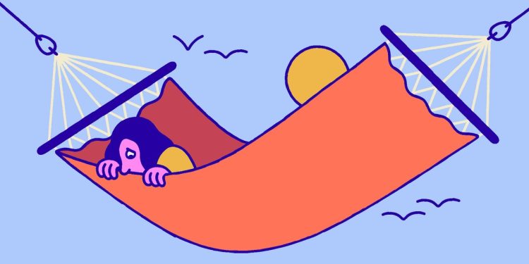 Querido James: ¿Qué hacer con mi vida post-doge?