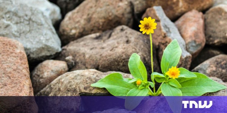 Por qué la resiliencia es la métrica más subestimada en el éxito de inicio