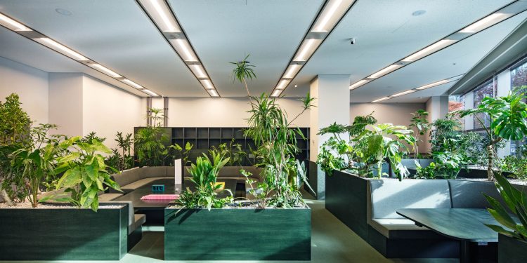 Kokuyo Dig / DDAA + Kokuyo