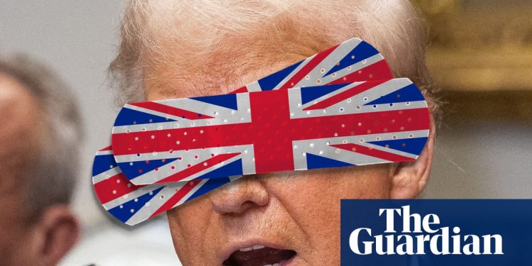 'No confíes en Trump': cómo los expertos en salud del Reino Unido están luchando contra una guerra contra la medicina | Salud