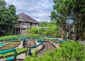 Recompensas de comida y bobina de IHG: cómo ganar y redimir