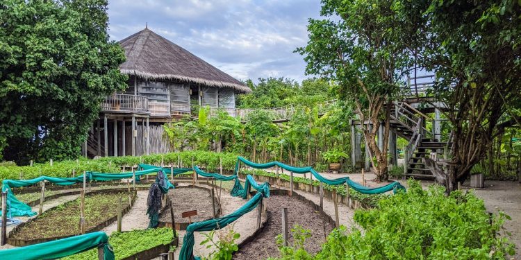 Recompensas de comida y bobina de IHG: cómo ganar y redimir