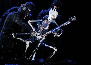 À Charleville-Mézières, Les Marionnettes Dans Tous Leurs états