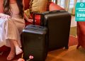 Soy editor de compras y estas son mis piezas favoritas de equipaje para viajar con
