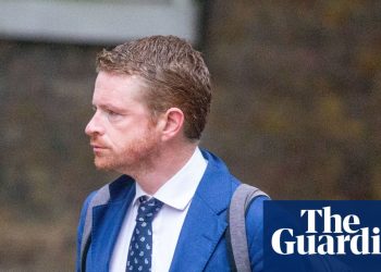 Los conservadores exigen una investigación sobre las afirmaciones de Labor's McSweeney engañaron a las elecciones Watchdog | Morgan McSweeney