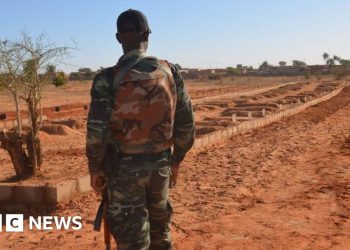 Grupos yihadistas que ejecutan civiles y casas en llamas, HRW advierte