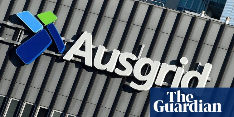Ausgrid recorta a los inspectores de seguridad después del informe considera más barato para pagar la compensación de lesiones por discapacidad permanente | Nueva Gales del Sur
