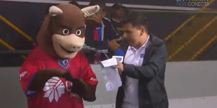 Periodista de Tigo Deportes Demuestra sus 'Pasos Prohibidos' Al Batar Con Un 'Toro'