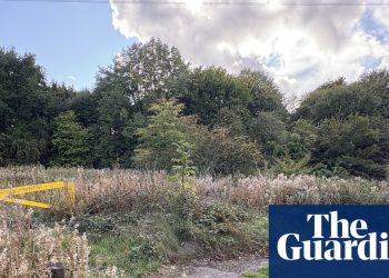 Los parlamentarios expresan su conmoción después de una presunta violación de mujer sij motivada racialmente | West Midlands