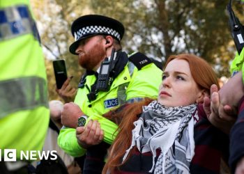 Arrestos en la protesta que apoya la acción de Palestina cerca de la Conferencia del Trabajo