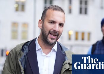 La privatización de las industrias del Reino Unido está impulsando la crisis del costo de vida, dice el líder de Greens | Política