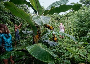 Las mejores cosas que hacer en Auroville, la comunidad autosuficiente de la India