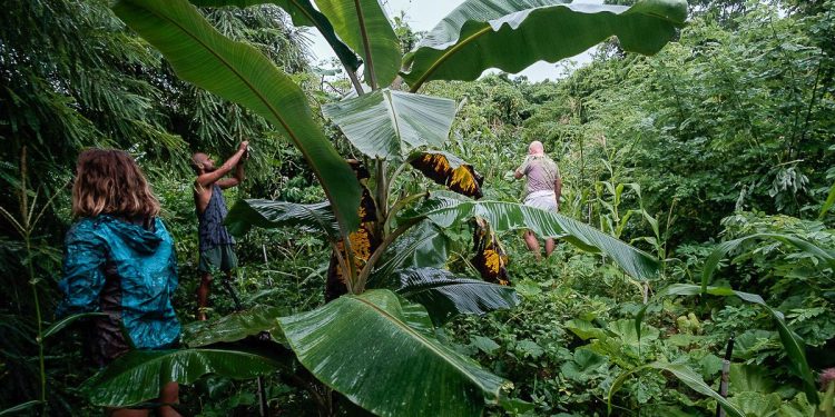 Las mejores cosas que hacer en Auroville, la comunidad autosuficiente de la India