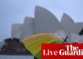 Australia News Live: Sydney despierta a la limpieza de tormentas; Albanese en las Islas Salomón para las charlas del Pacífico | Noticias de Australia