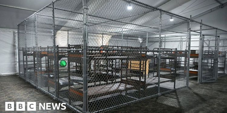 El Centro de Inmigración 'Alligator Alcatraz' puede permanecer abierto, las reglas del tribunal de apelaciones