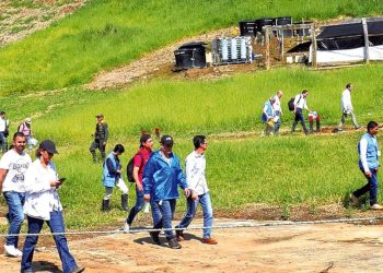 Un Asesinado y Dos Atacados en Menos de 24 Horas