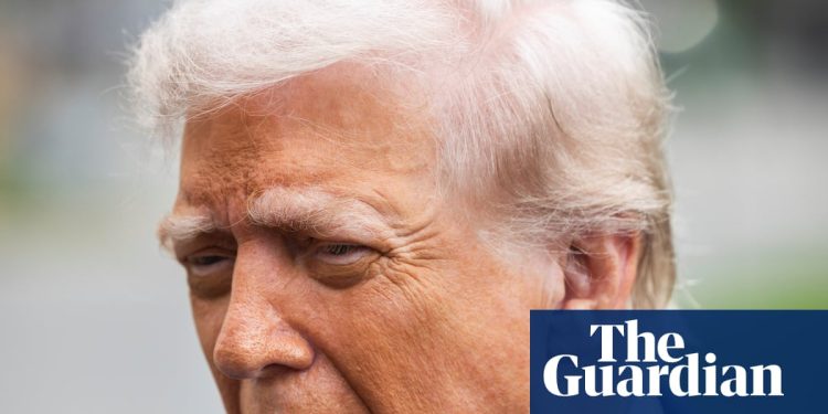 Planifique cortar tarifas de acero de EE. UU. Archelas horas antes de la visita del Reino Unido de Donald Trump | Política comercial