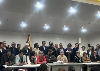 ponencia en el cne negaría escisión del mais