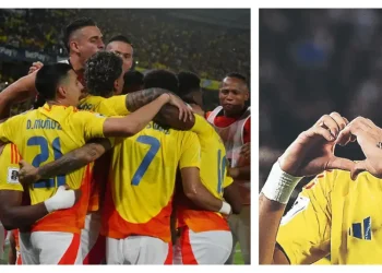 A Clasificar Sin Más, Que es lo fundamental … (Meluk le cuenta)