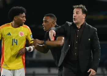 'Acá no Hay Tiempo Para Relajarse, Hay Que Preparar El Mundial'