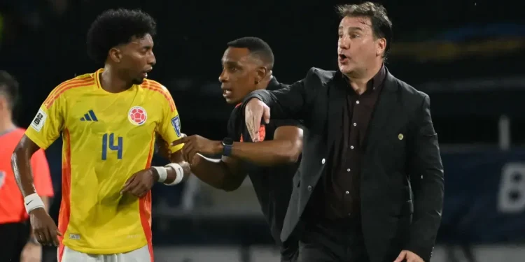 'Acá no Hay Tiempo Para Relajarse, Hay Que Preparar El Mundial'