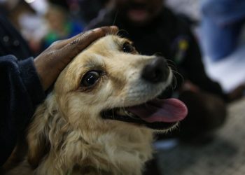 La única excepción la pude poner el propietario