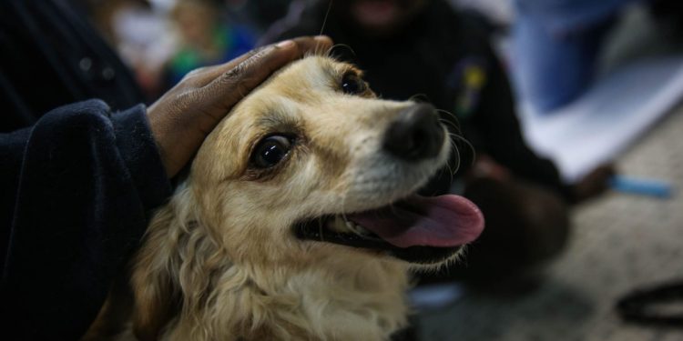 La única excepción la pude poner el propietario