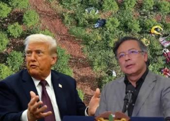 Las Fórmulas que podría Evitar que Crezca el Antagonismo Entre El Gobierno de Gustavo Petro y El de Donald Trump Tras la Descertificación