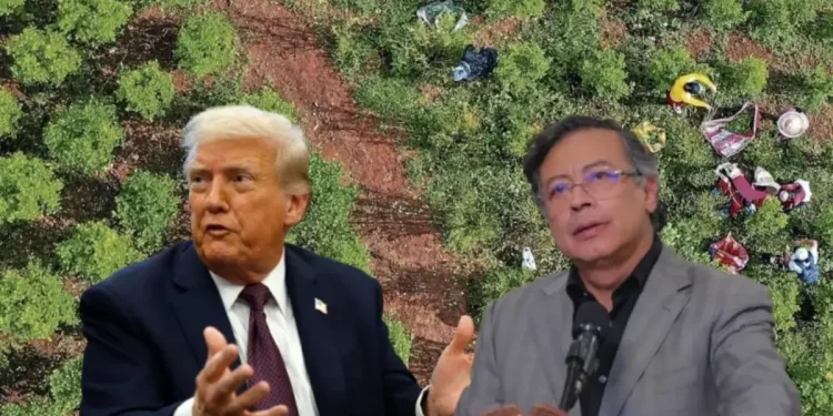 Las Fórmulas que podría Evitar que Crezca el Antagonismo Entre El Gobierno de Gustavo Petro y El de Donald Trump Tras la Descertificación