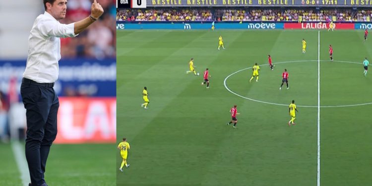 Lisci Tejio la Telaraña Perfecta … Hasta que no Aguantó más