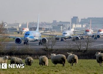 Segunda pista del aeropuerto de Gatwick aprobada por el secretario de transporte