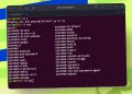 7 Conceptos básicos de terminal de Linux Cada principiante debe aprender primero, y por qué