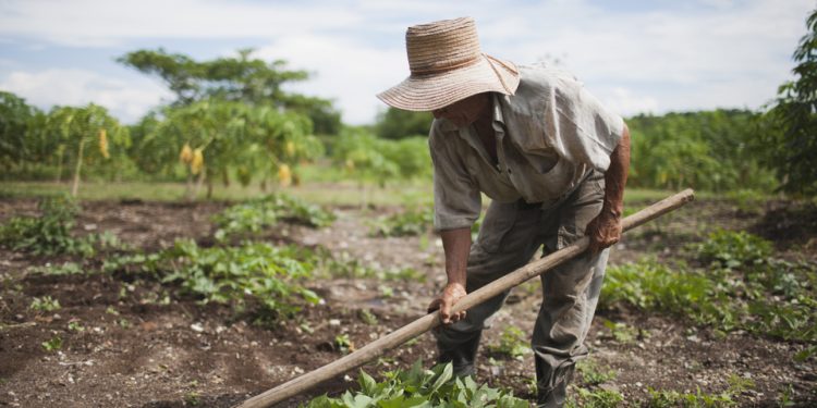 Crítica a la Baja de Las Retenciones | De la mesa agroalimentaria argentina